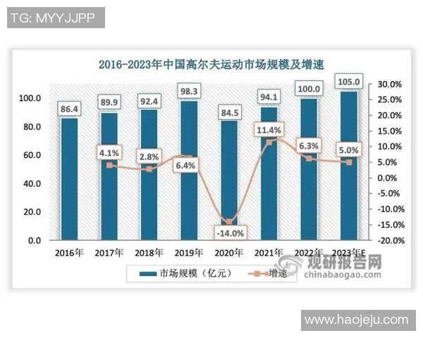 广州乒乓球队技术深度解析与训练方法探讨 广州乒乓球队技术深度解析与训练方法探讨
