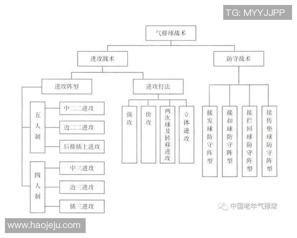 武汉排球队整体压制战术分析与战绩影响探讨