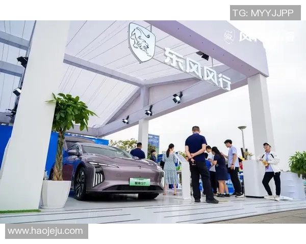 武汉网球队的转型之路：从传统强队到现代化竞技新标杆