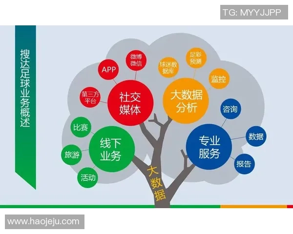 数据分析：武汉足球队的节奏表现